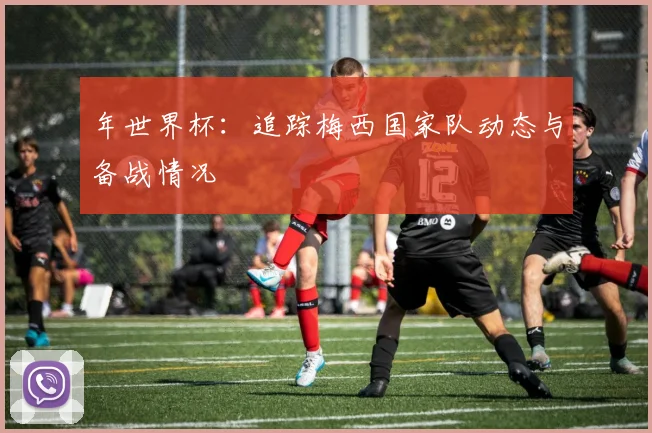年世界杯：追踪梅西国家队动态与备战情况
